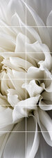 Foto tegelsticker 15x15 'Dahlia' 90x30 cm hxb